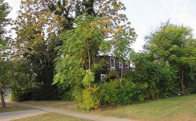 2nd image of 6746 Jackson Ave