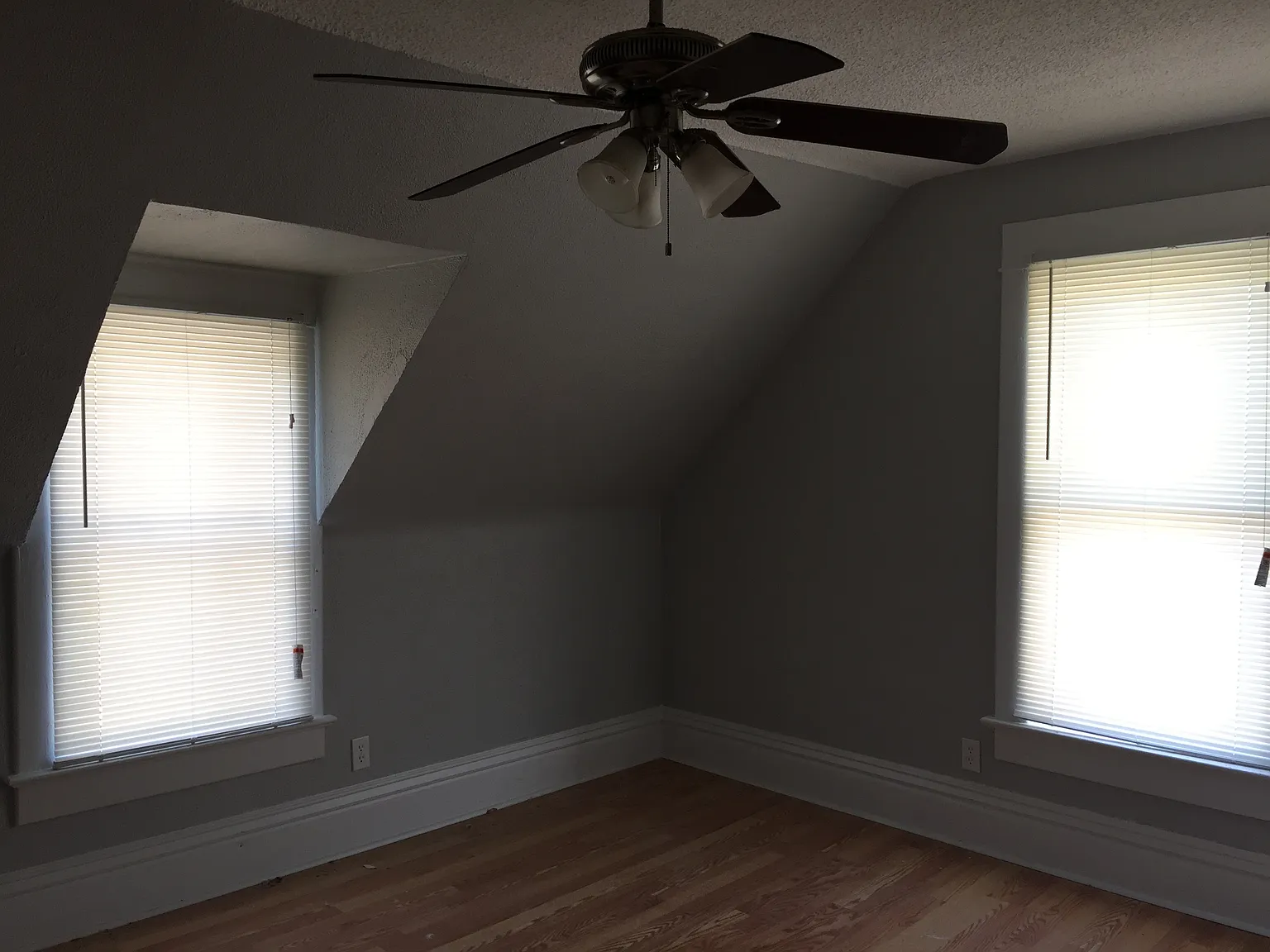 1 bed, 725 sqft, $650 — Photo 2