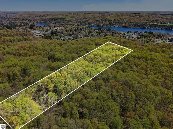 PARCEL Dawson Rd #C, Central Lake, MI 49622