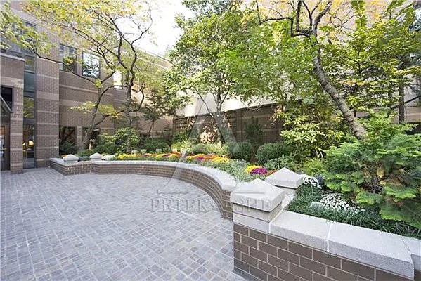 Rented by Peter Ashe | media 16