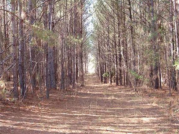 4th image of 2873 Highway 143