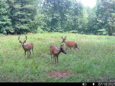 2941 Elberton Rd, Carlton, GA, 30627