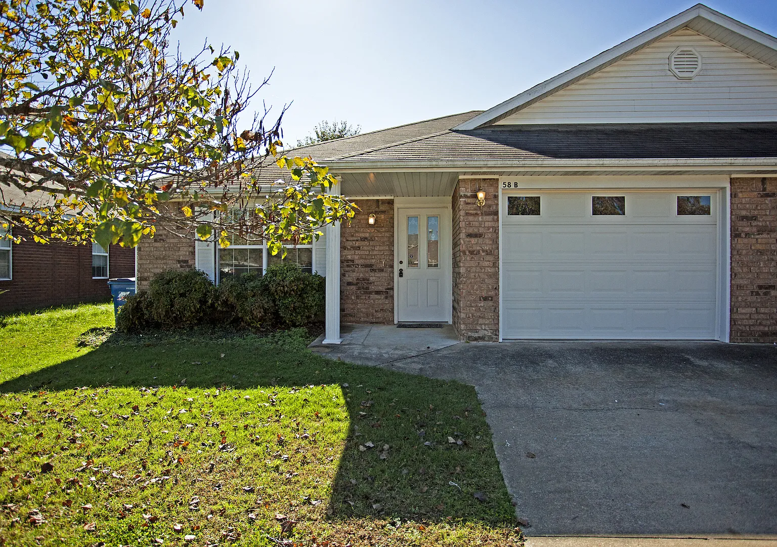 58 B Holly — Photo 2