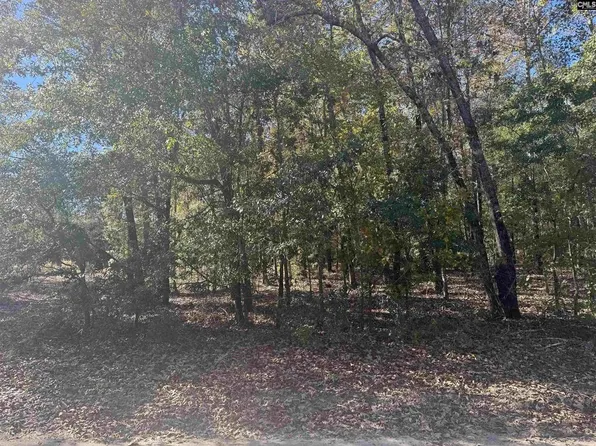 Possum Trl Lot 2, Bamberg, SC 29003