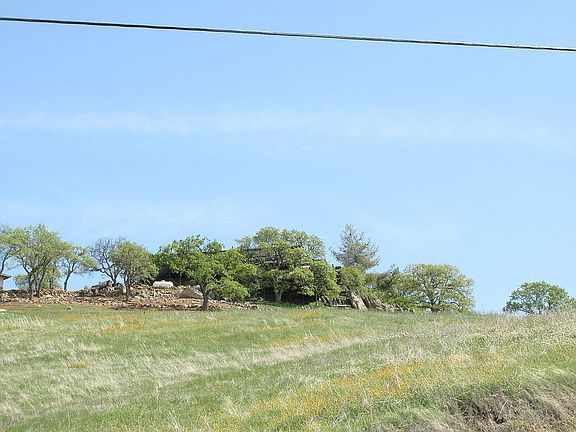 in the trees at the top of the hill