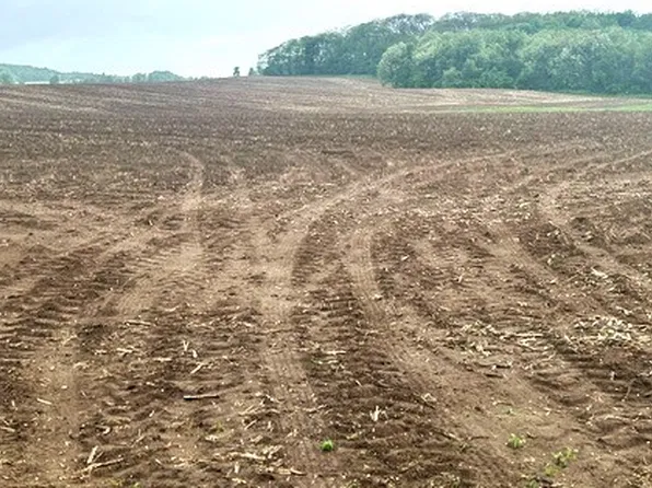 75.11 Acres E 00 County Road V, Strum, WI 54770