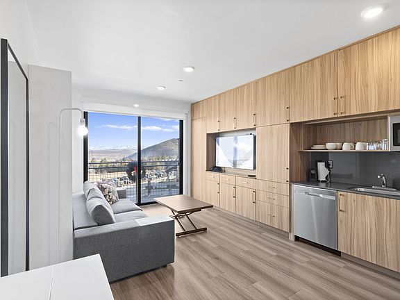 Studio Living Area / Kitchenette