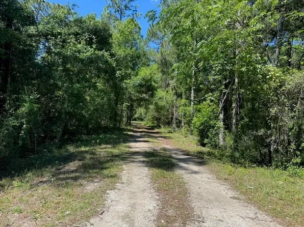 Citadel Dr Lot 1, Webster, FL 33597