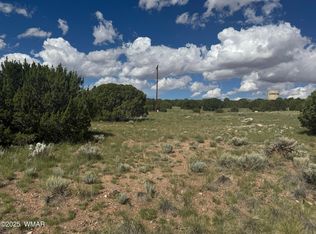 79 Alpine Ln, Concho, AZ 85924