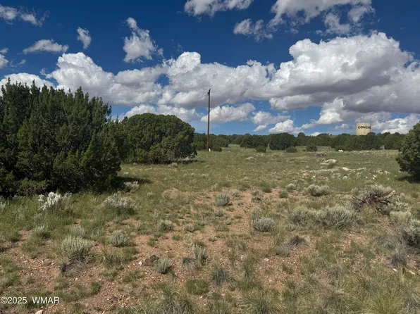 79 Alpine Ln, Concho, AZ 85924