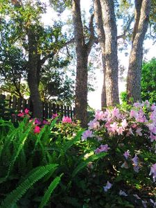 2537 Caprice Ln, Fernandina Beach, FL, 32034