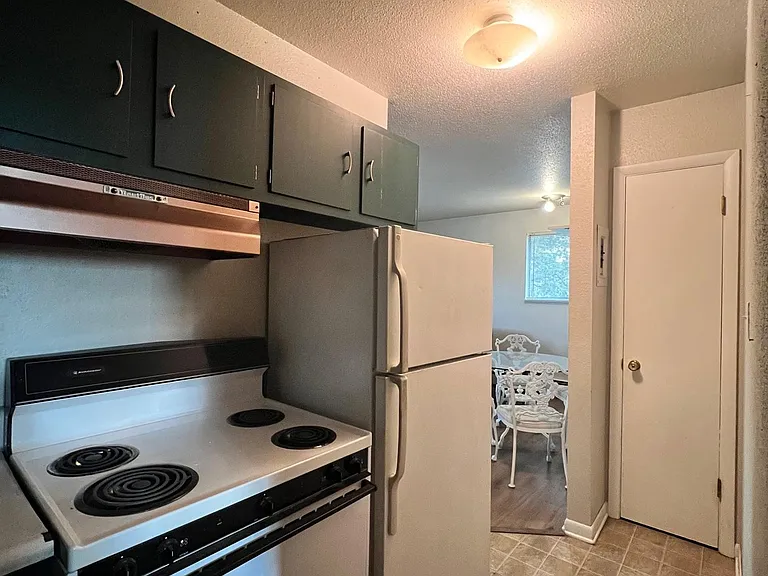 1309 Burton Ct #4 — Photo 11