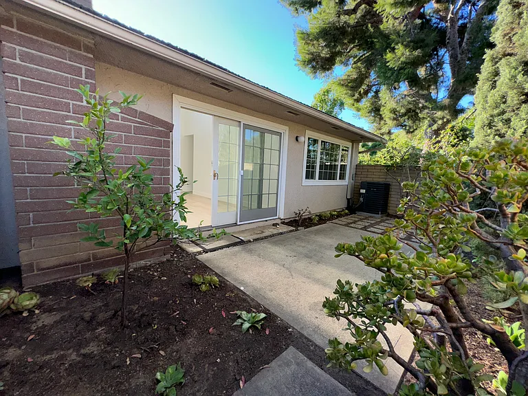 3 Eucalyptus — Photo 19