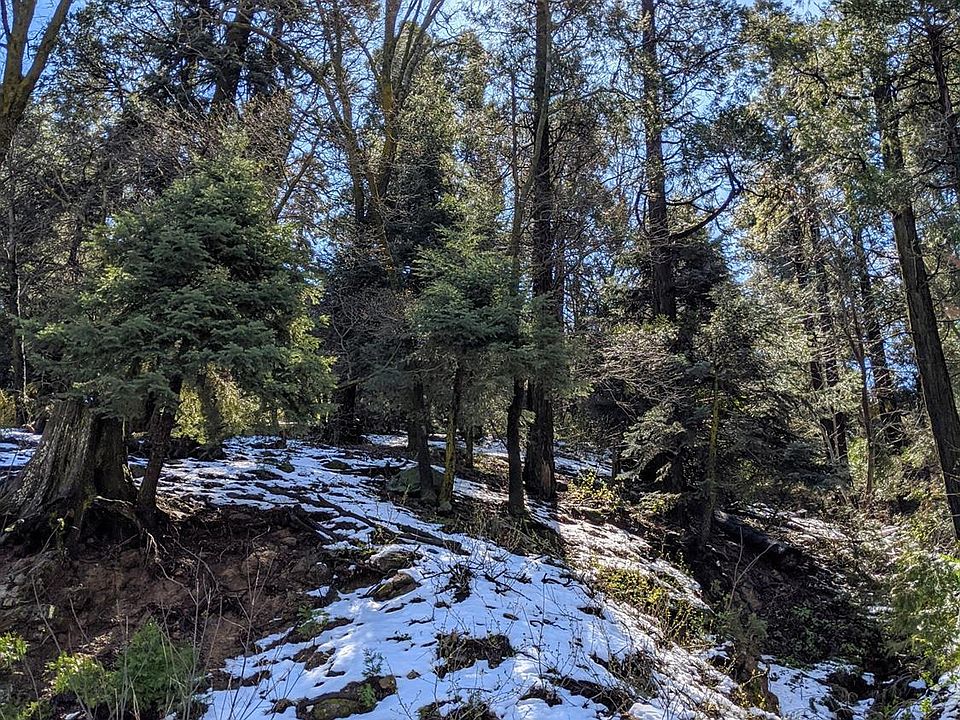 1st image of 24003 Altdorf Dr