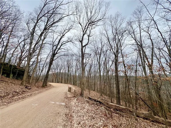County Road 246 0 7 #265-00160-8, Berryville, AR 72616