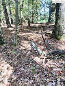 TBD Hollyknoll Road, Glade Valley, NC, 28627