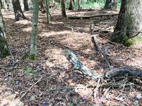 TBD Hollyknoll Road, Glade Valley, NC 28627