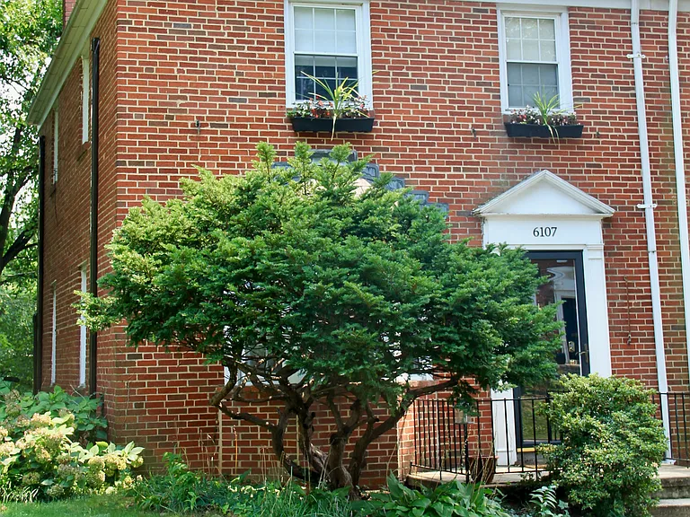 6107 Maylane Dr — Photo 3