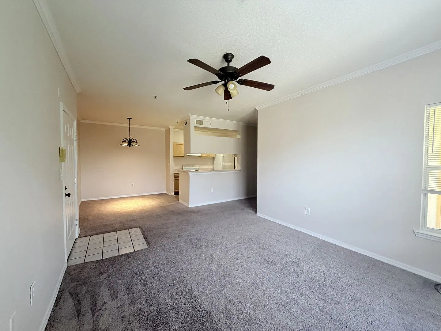 3rd Floor Unit, 1 Bed/1 Bath With Den In Carrollwood Area — Photo 4