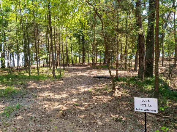 6 Big Oaks, Leesburg, TX 75451