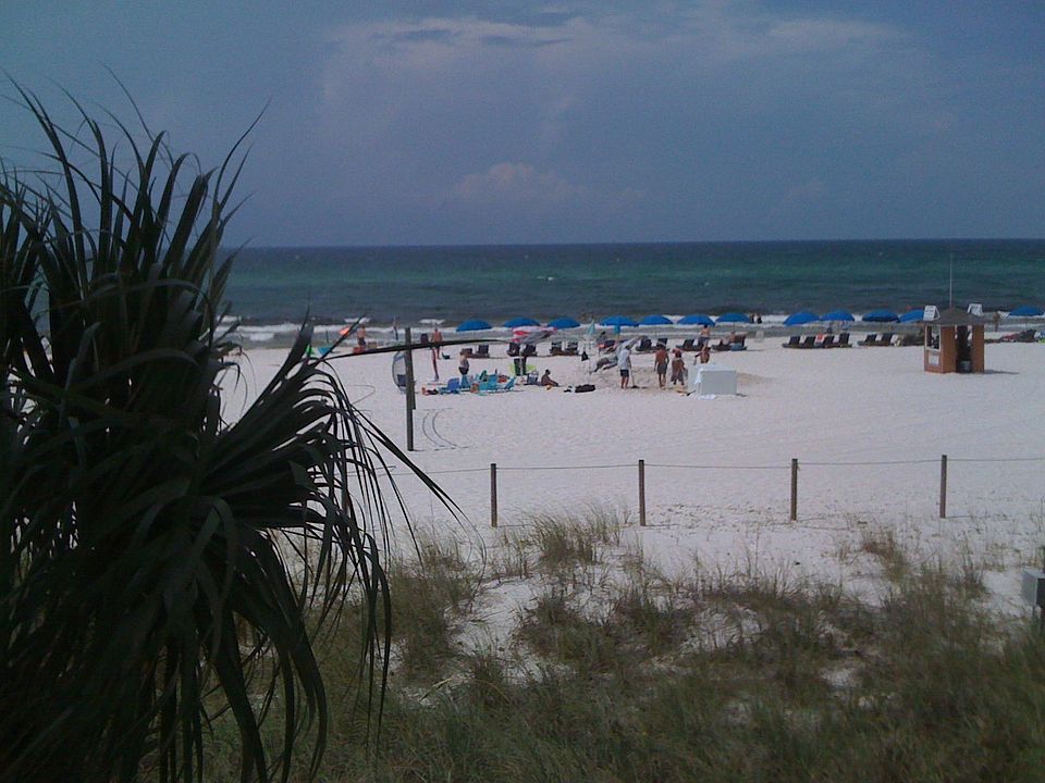 Beach view!