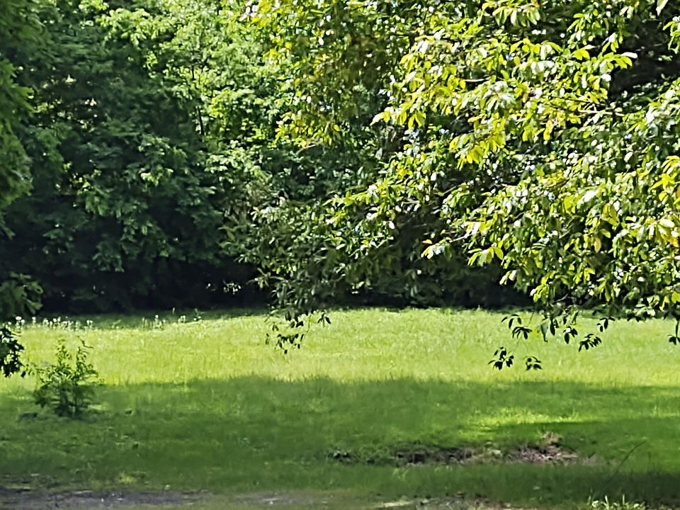2nd image of 1108 18th St NW