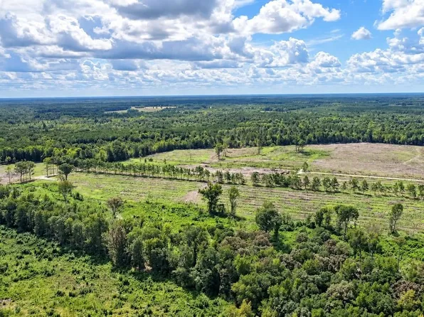 Old Foreston Rd, Greeleyville, SC 29056