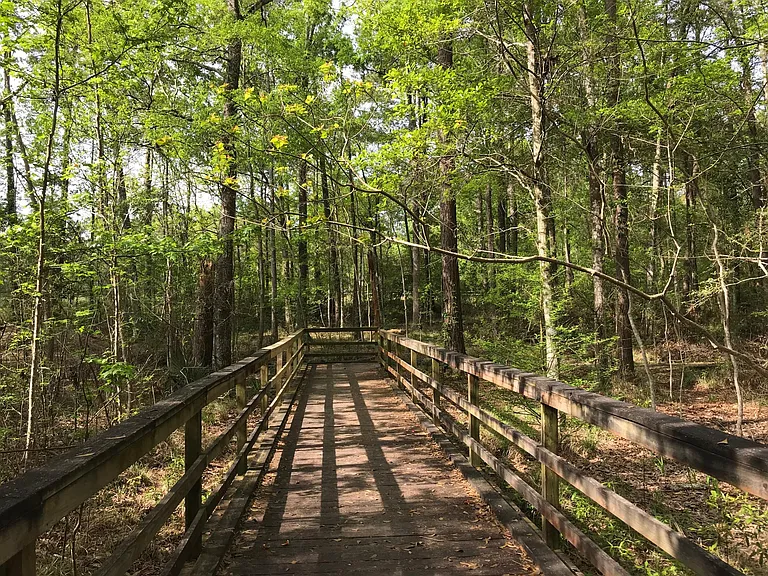 walking distance to Neighborwoods park