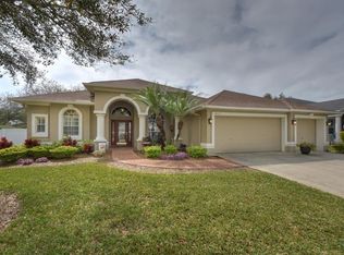 4417 Merrick Run Ln, Valrico, FL 33596