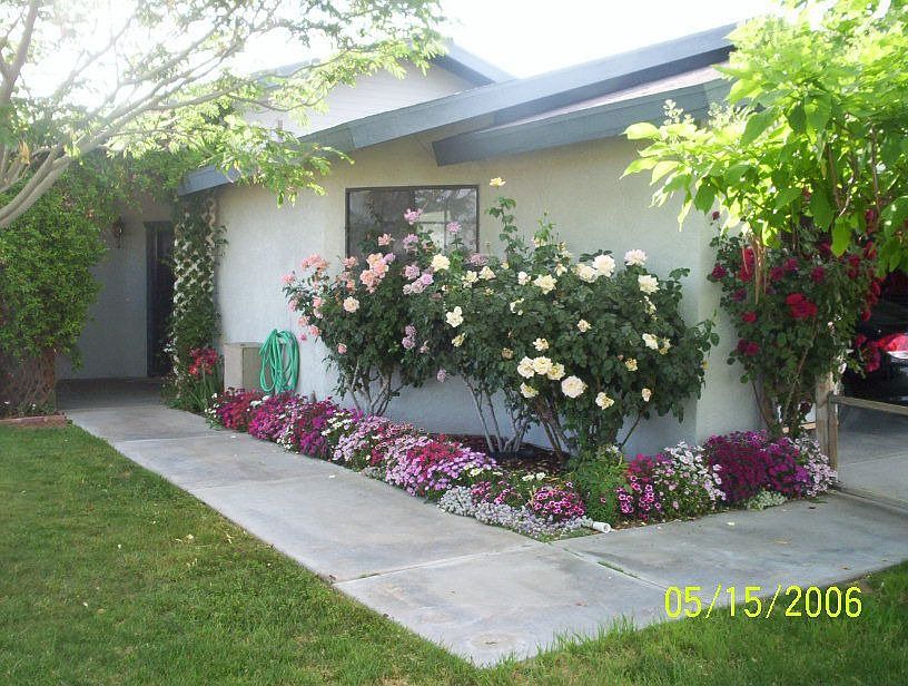 Front yard