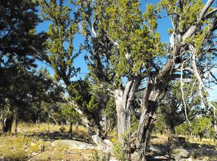 3665 Pinehurst Dr, Happy Jack, AZ 86024