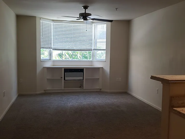 1810 Kaioo Dr #B310 — Photo 5