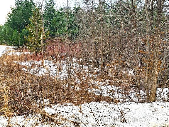 5th image of 0 Adair Rd