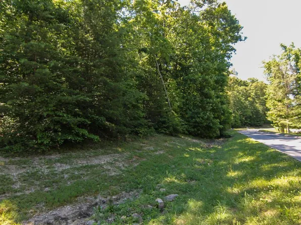 Oak Terrace Cv, Kingston, TN 37763