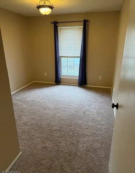 540 Holly Ct — Photo 8