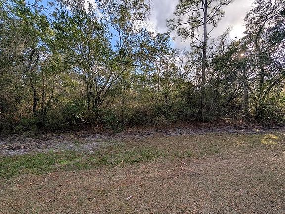 2nd image of 1005 BOUGAINVILLE DRIVE LOT 10