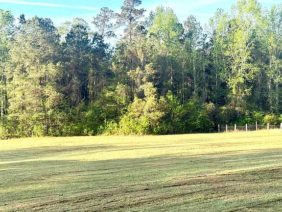 4th image of 18392 George Mims Rd