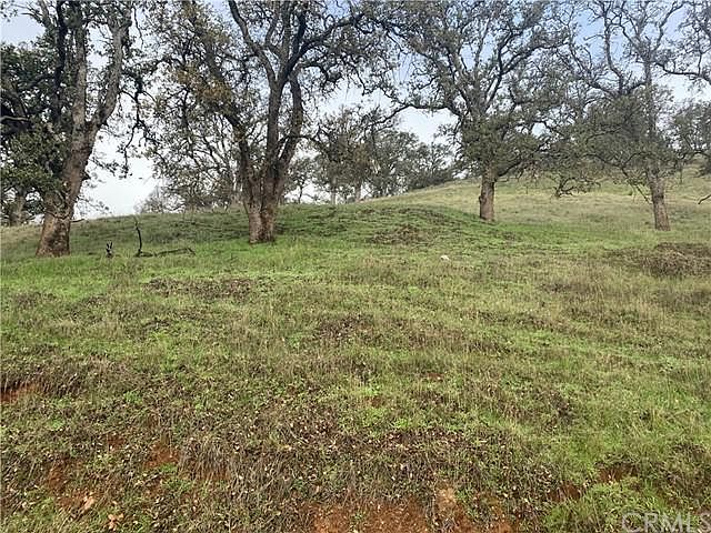 2nd image of 11167 Pioneer Dr