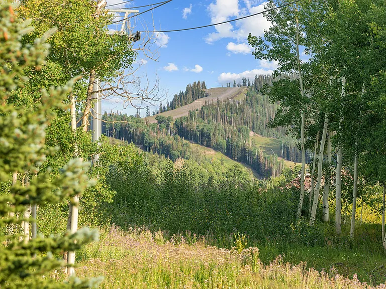 Adams Ranch Rd — Photo 20