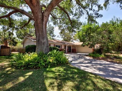 3306 Lacewood Rd, Tampa, FL, 33618