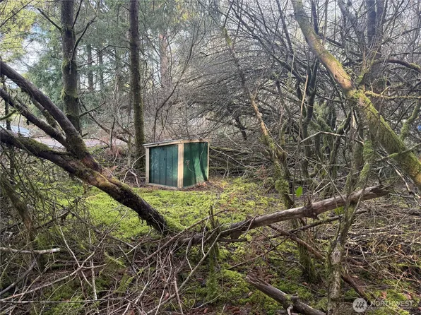 142 XXX 142nd Lane, Long Beach, WA 98631