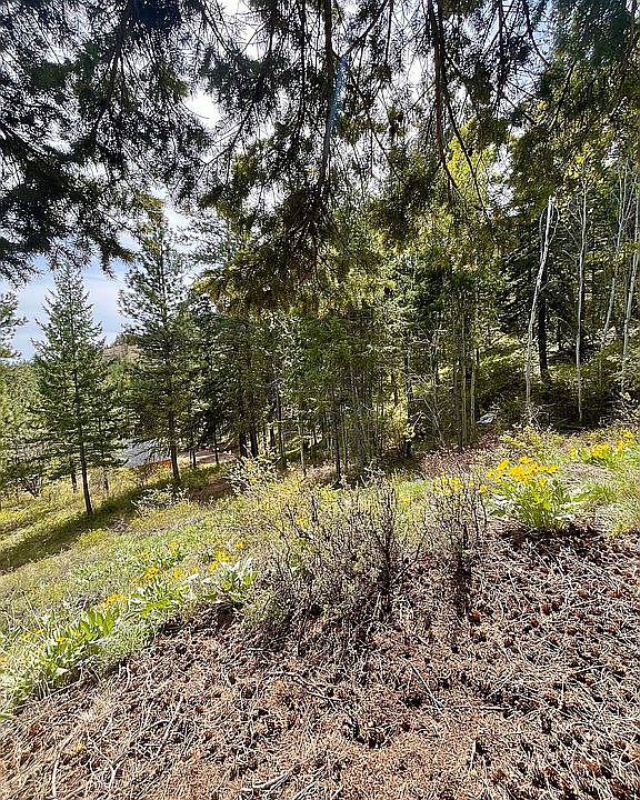 2nd image of LOT 42 Sun Mountain Pine Frst #1