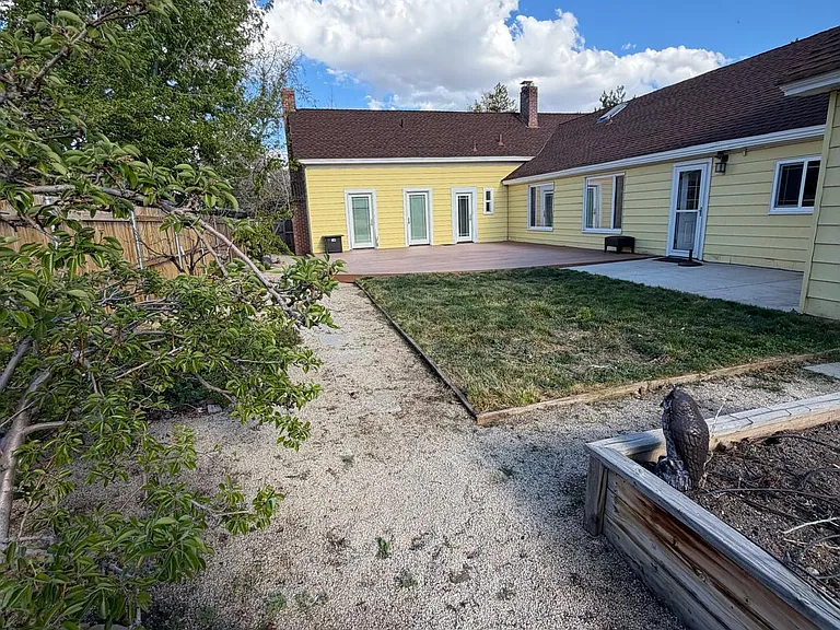 Back yard