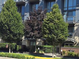 3090 Gladwin Rd, Abbotsford, BC