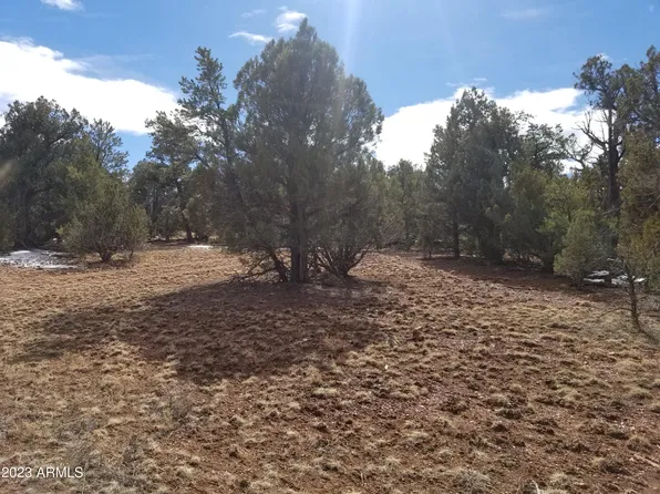 2581 BIG PASTURE Road #2, Overgaard, AZ 85933