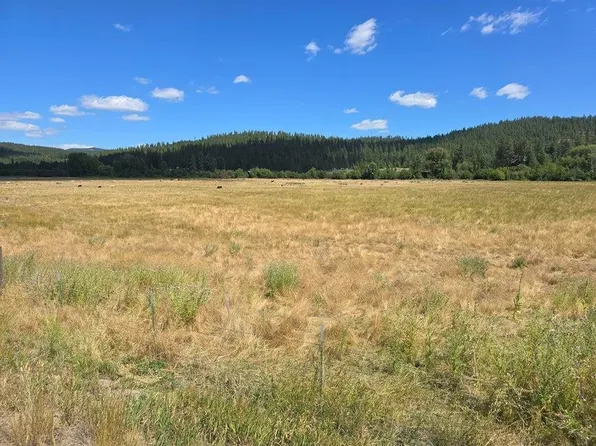 13XX Kitt Narcisse Rd, Colville, WA 99114