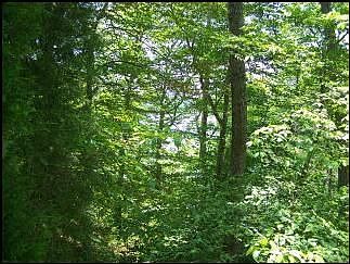 1st image of 468 Lake Dr #9