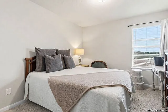 335 Shelton Pass — Photo 28