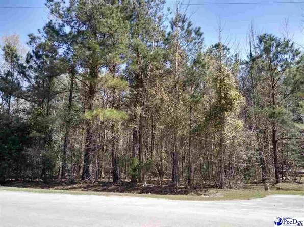 0 Meadowview Dr, Darlington, SC 29532