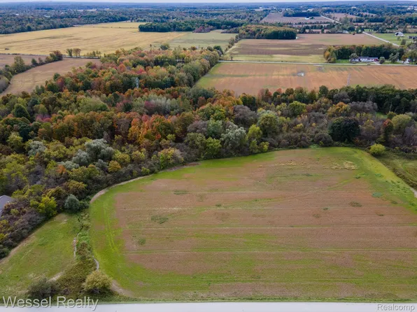 PARCEL 7 Lambs Rd, Goodells, MI 48027